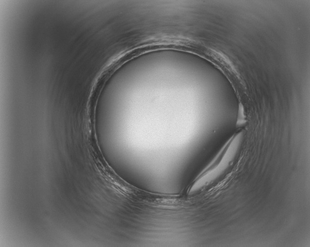 X0000075401172200610061923