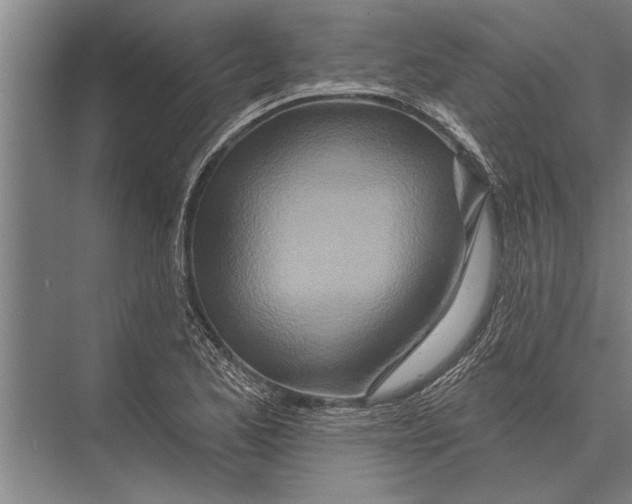 X0000075401173200610061923
