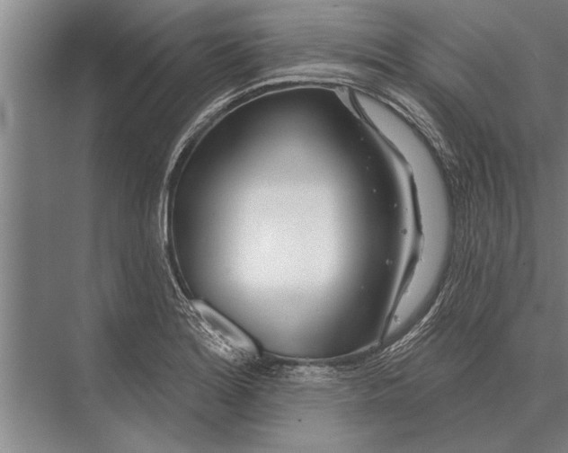 X0000075401180200610061923