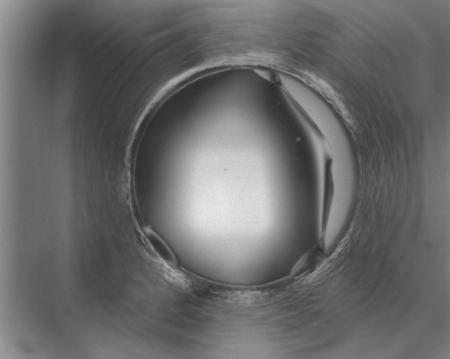 X0000075401184200610061923