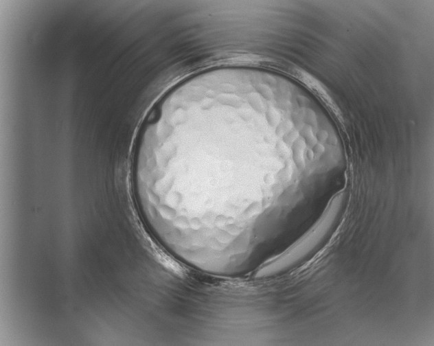 X0000075401194200610061923
