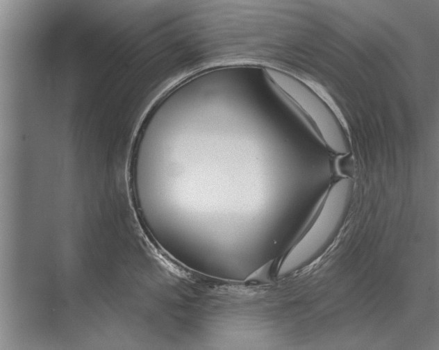 X0000075401197200610061923