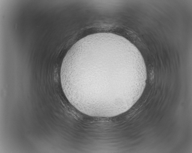 X0000075401204200610061922