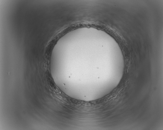 X0000075401207200610061922