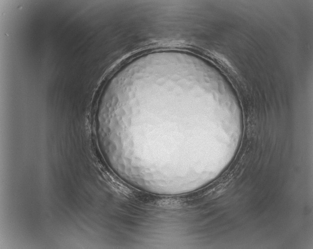 X0000075401212200610061922
