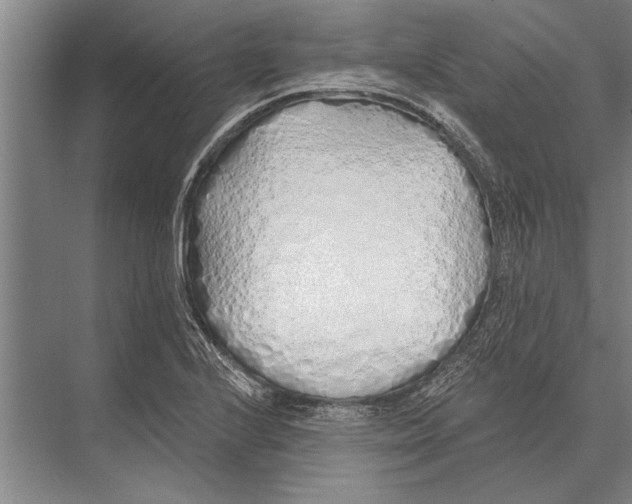X0000075401224200610061922
