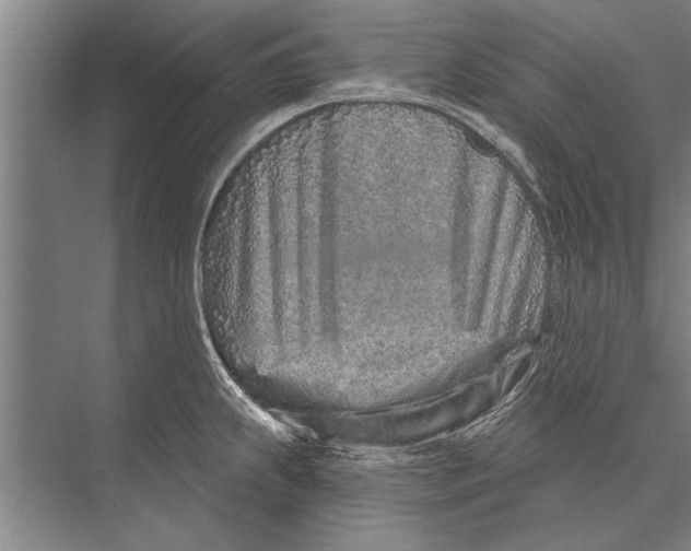 X0000075401239200610061922