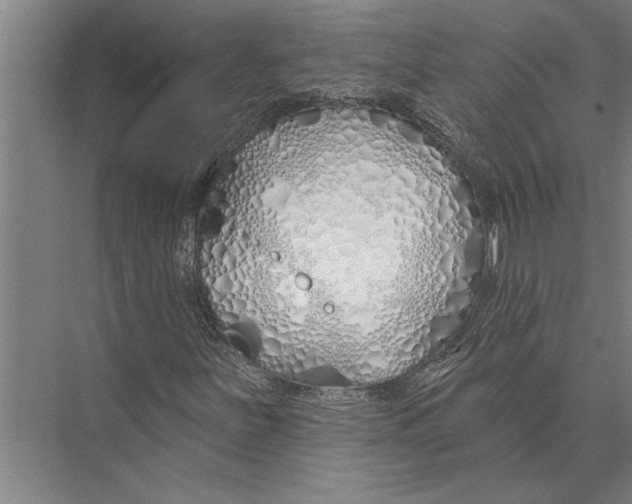 X0000075401251200610061922