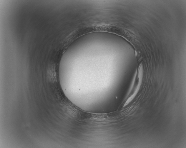 X0000075401252200610061922