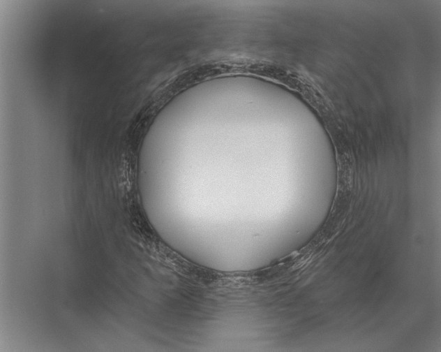 X0000075401253200610061922