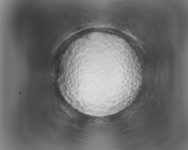 X0000075401255200610061922