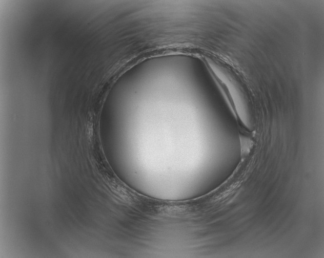 X0000075401257200610061922