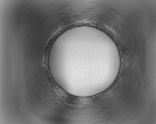 X0000075401258200610061921