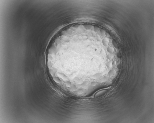 X0000075401275200610061921