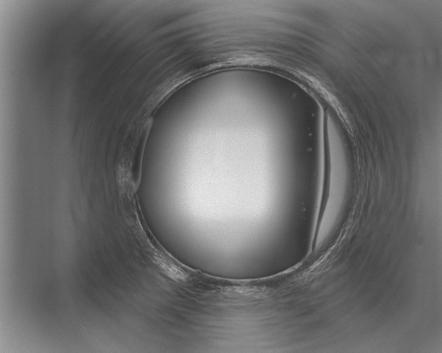 X0000075401281200610061921