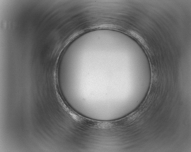 X0000075401282200610061921