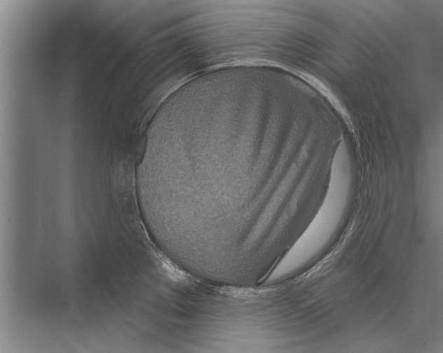 X0000075401289200610061921