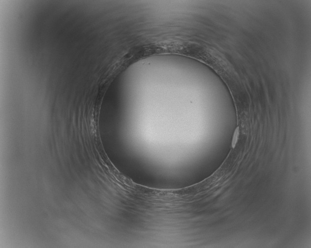 X0000075401298200610061920
