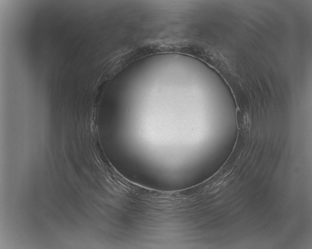 X0000075401300200610061920