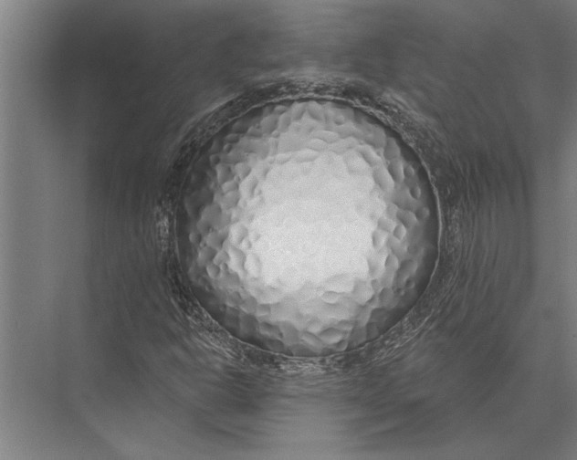 X0000075401302200610061920
