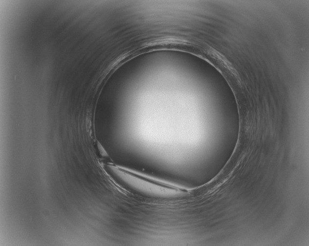 X0000075401321200610061920