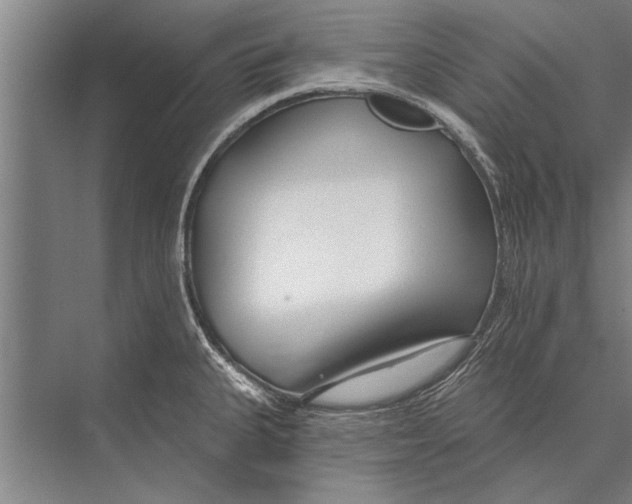 X0000075401335200610061921