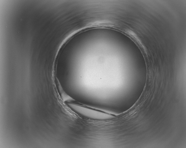 X0000075401336200610061921