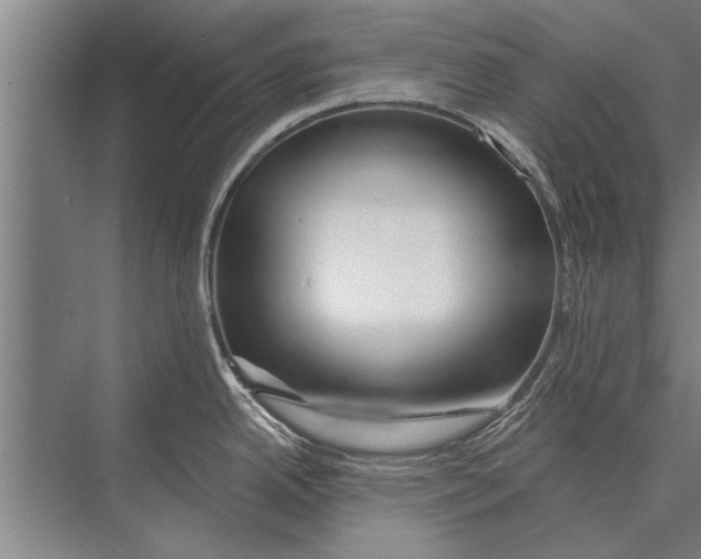 X0000075401342200610061921