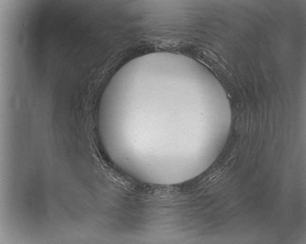 X0000075401345200610061920