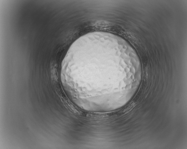 X0000075401346200610061920