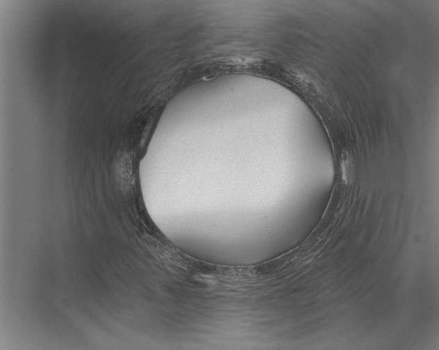 X0000075401347200610061920