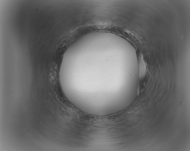 X0000075401349200610061920