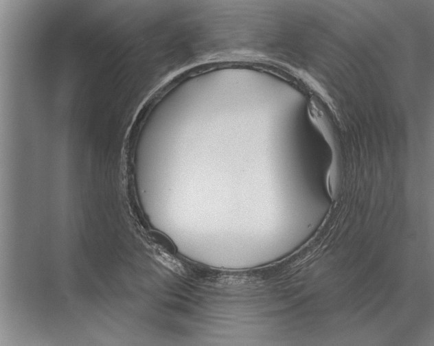 X0000075401364200610061920