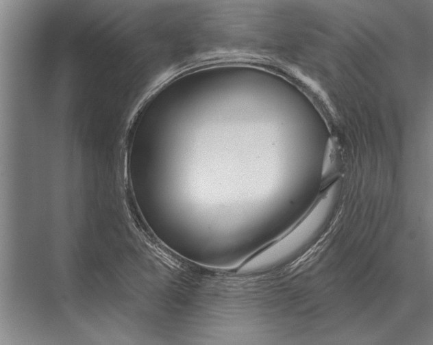X0000075401365200610061920