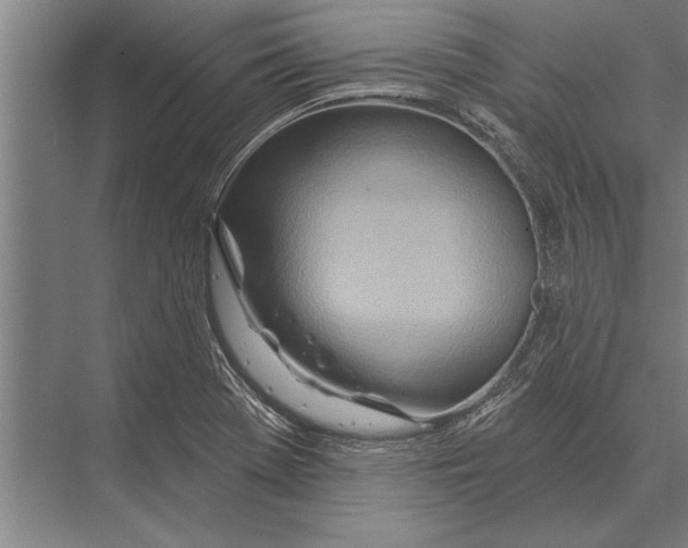 X0000075401369200610061920