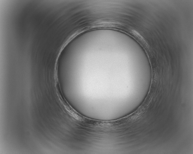 X0000075401370200610061920