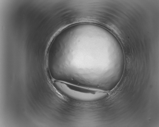 X0000075401371200610061920