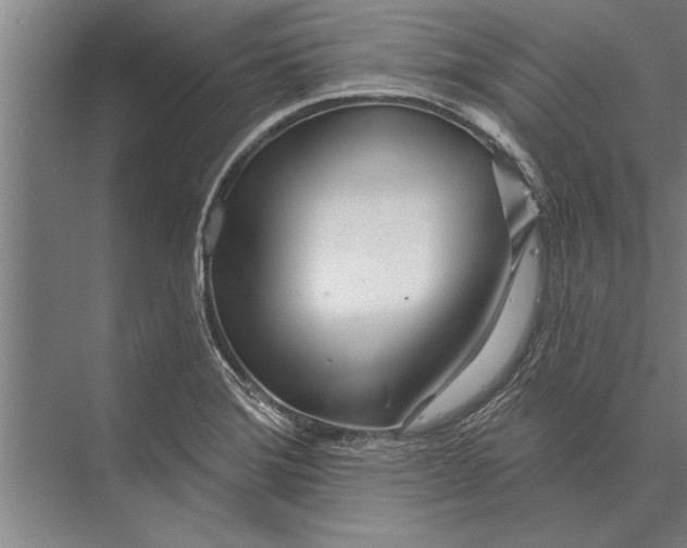 X0000075401372200610061920