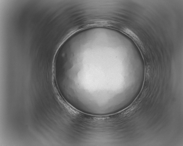 X0000075401378200610061919
