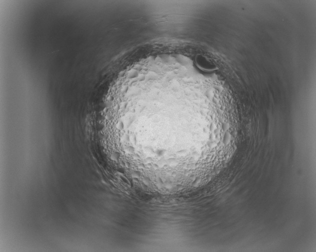 X0000075401397200610061918