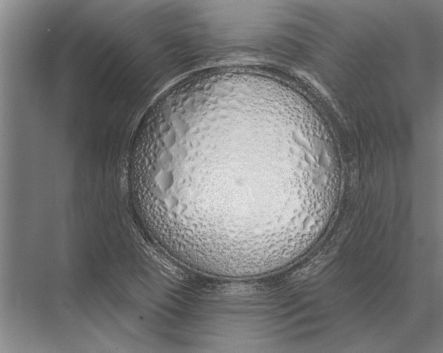 X0000075401409200610061919