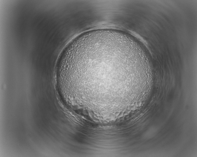 X0000075401415200610061919