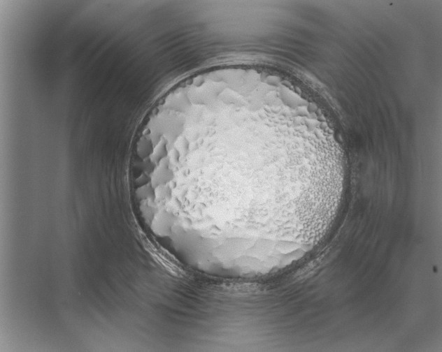 X0000075401417200610061919