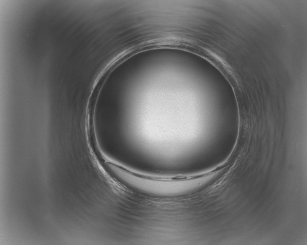 X0000075401418200610061919