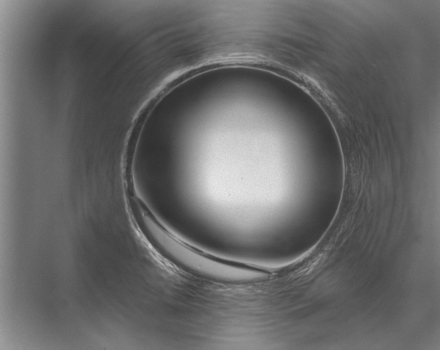 X0000075401422200610061919