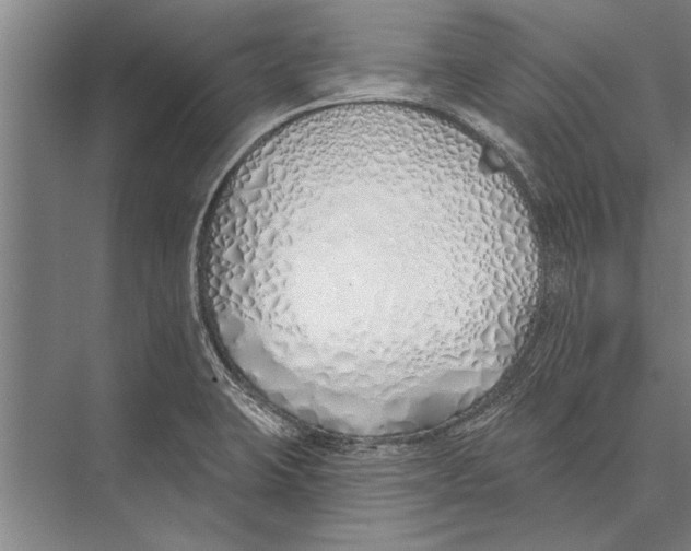 X0000075401423200610061919