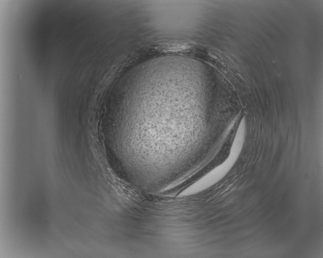 X0000075401441200610061918
