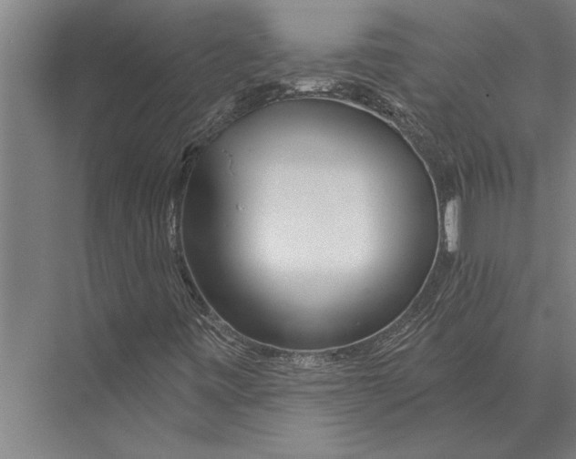 X0000075401443200610061918