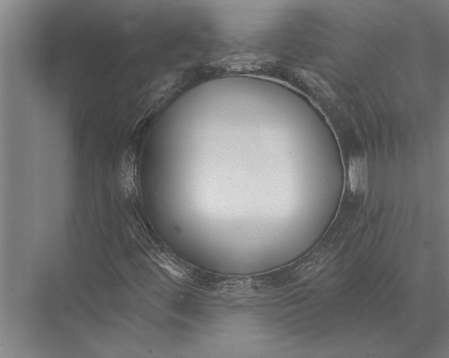 X0000075401444200610061918