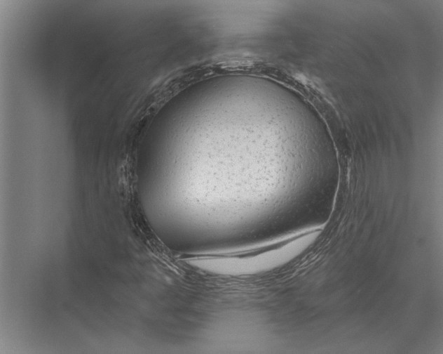 X0000075401445200610061918